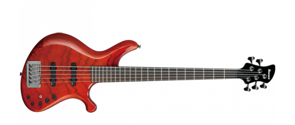 Ibanez G105-TOR