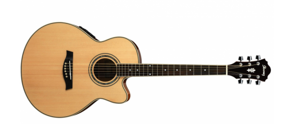 Ibanez AEL10E-NT