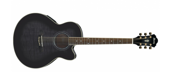 Ibanez AEL20E-TKS