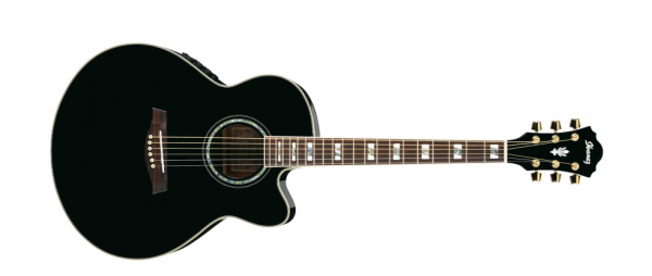 Ibanez AEL30SE-BK