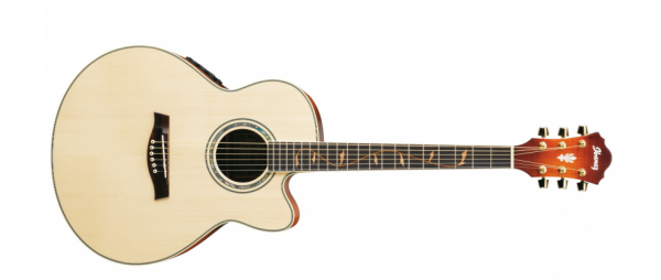 Ibanez AEL40SE-RLV