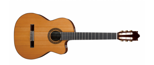 Ibanez G300CE-NT