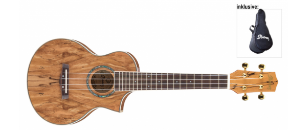 Ibanez UEW20SM