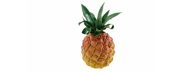 NINO Percussion NINO595 SHAKER ANANAS