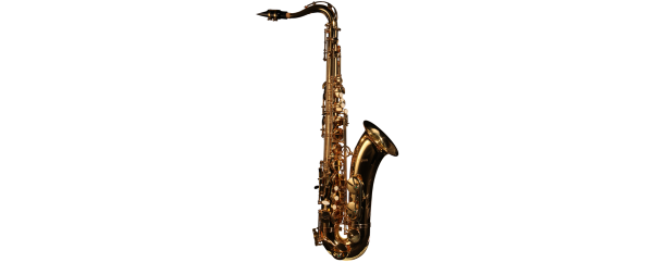 Antigua TS3100LQ WOODWIND SAKSOFON TENOROWY