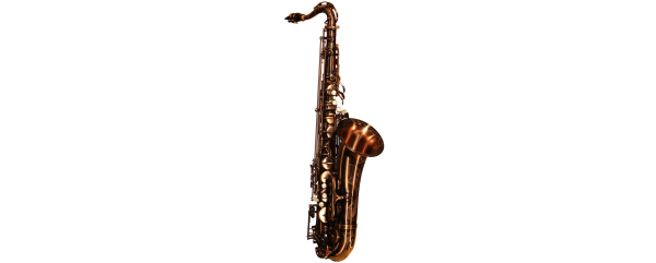 Antigua TS4240AQ-GH WOODWIND SAKSOFON TENOROWY