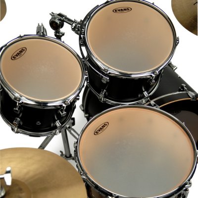 EVANS 12" GEN G PLUS CTD naciąg do tomów